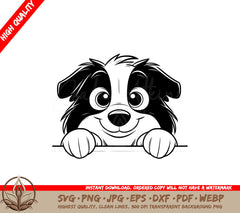 Peekaboo Border Collie SVG - Digital file in various formats