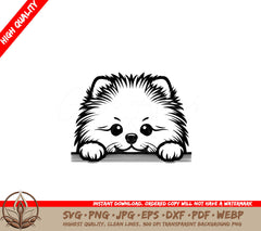 Peekaboo Pomeranian SVG: Digital product file (SVG, PNG, JPG, AI, PDF, DXF, EPS, WebP)