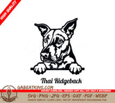 Thai Ridgeback Dog Peeking SVG SVG