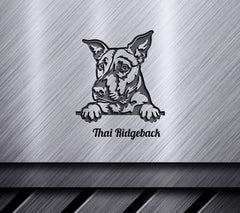 Thai Ridgeback Dog Peeking SVG SVG
