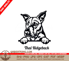 Thai Ridgeback Dog Peeking SVG SVG