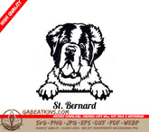 Peeking St. Bernard SVG SVG