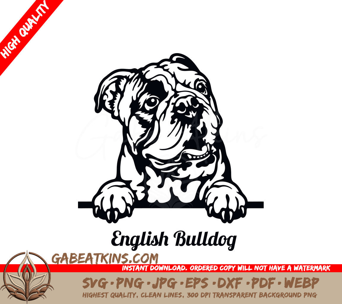 English Bulldog Peeking SVG Set SVG