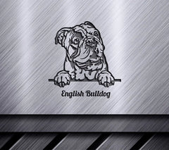 English Bulldog Peeking SVG Set SVG