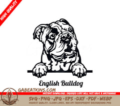 English Bulldog Peeking SVG Set SVG
