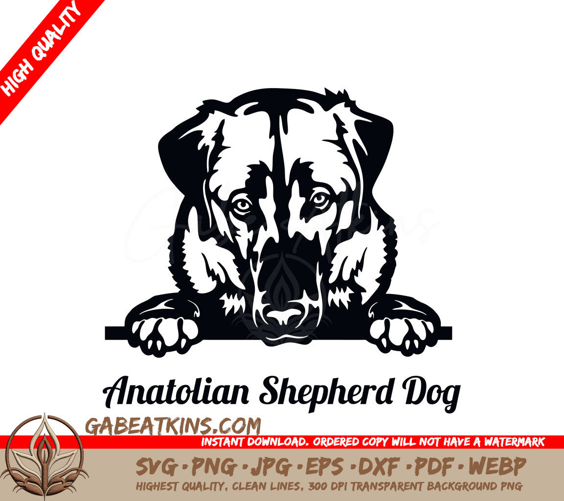 Anatolian Shepherd Dog Peeking SVG SVG