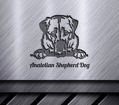 Anatolian Shepherd Dog Peeking SVG SVG