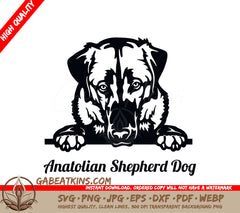 Anatolian Shepherd Dog Peeking SVG SVG