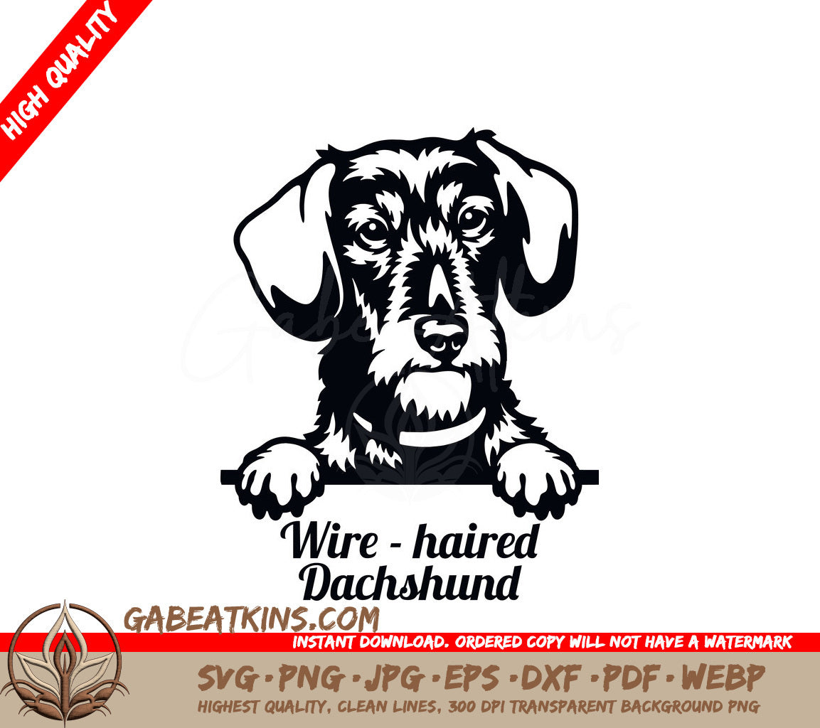Wirehaired Dachshund Peeking SVG SVG