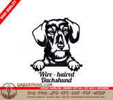 Wirehaired Dachshund Peeking SVG SVG