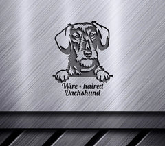 Wirehaired Dachshund Peeking SVG SVG