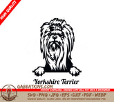 Yorkshire Terrier Peeking Dog SVG SVG