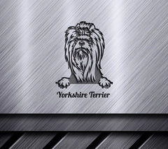 Yorkshire Terrier Peeking Dog SVG SVG