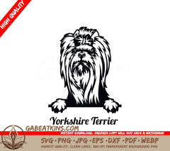 Yorkshire Terrier Peeking Dog SVG SVG