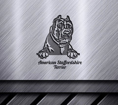 Peeking American Staffordshire Terrier SVG SVG