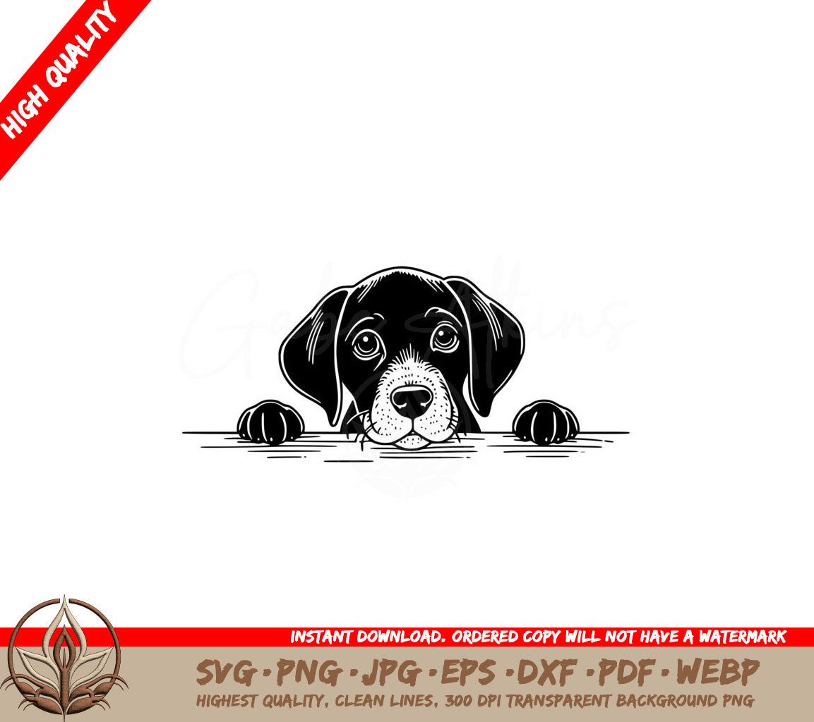 Peeking German Shorthaired Pointer SVG