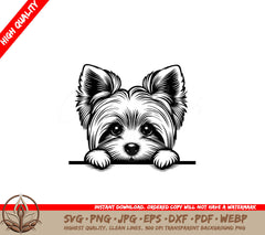 Peeky Yorkie - SVG PNG JPG AI PDF DXF EPS WebP Digital Download