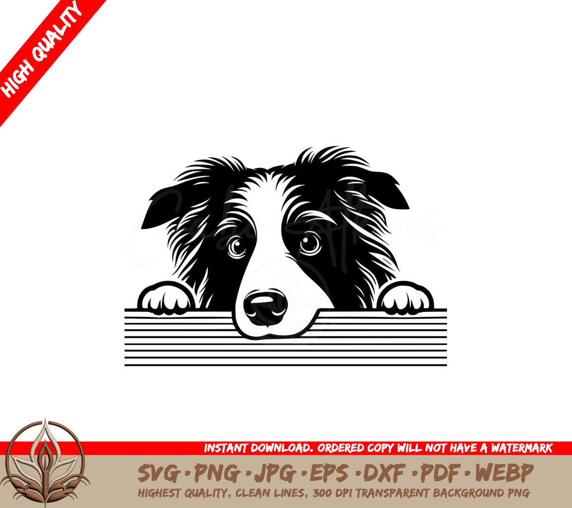 Peering Border Collie SVG