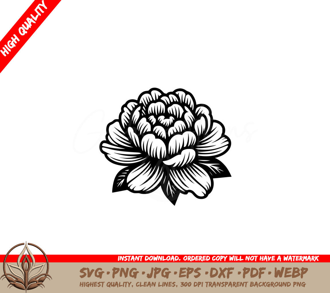 Peony Blossom SVG PNG JPG AI PDF DXF EPS and WebP Cut File