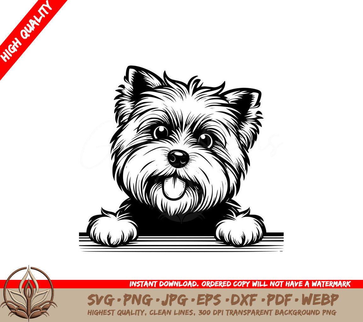 Playful Skye Terrier SVG