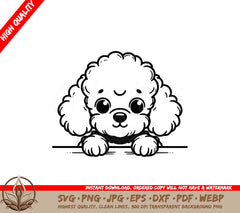 Poodle Playtime Pose SVG PNG JPG AI PDF DXF EPS WebP