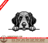 Portuguese Water Dog Face SVG -  Drawing with Paws SVG