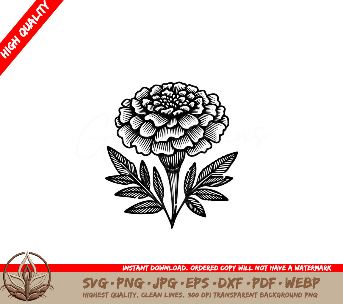 Realistic Marigold SVG