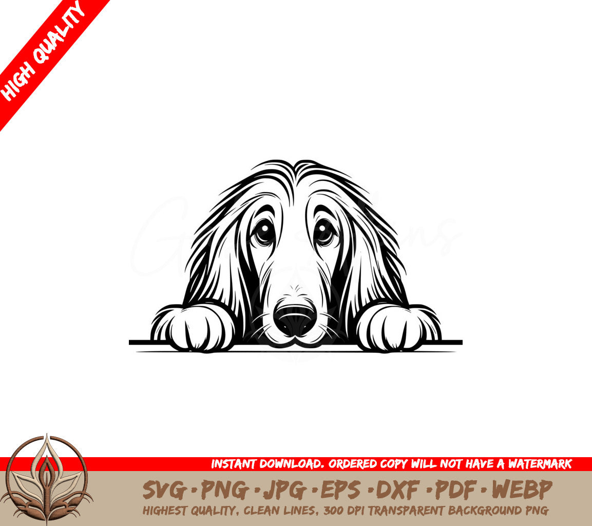 Royal Afghan Hound Stare SVG PNG JPG AI PDF DXF EPS and WebP - Digital Download