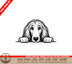 Royal Afghan Hound Stare SVG PNG JPG AI PDF DXF EPS and WebP - Digital Download