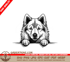 Husky Dog Peeking Over Wall SVG - Samoyed Paw Print Design SVG