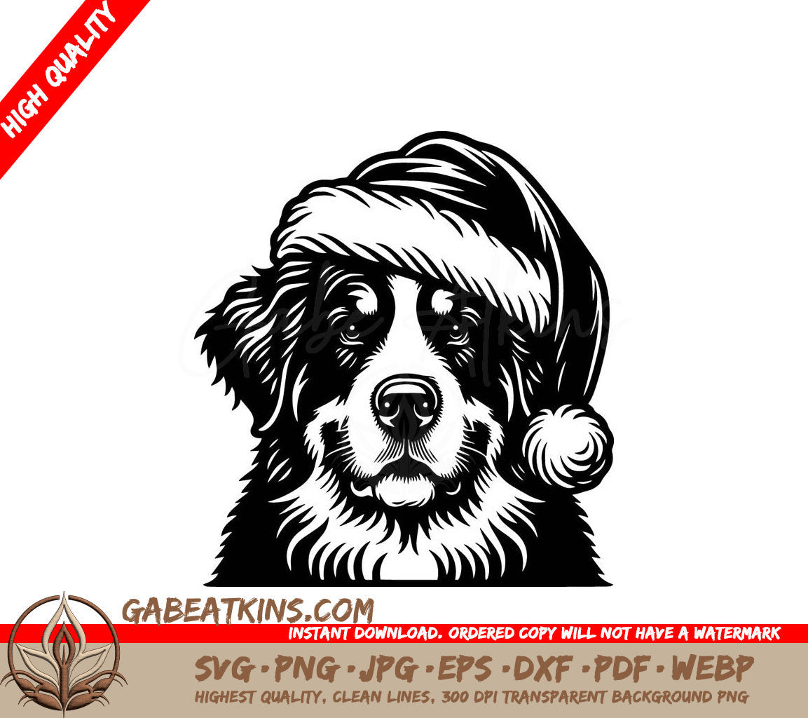 A Dog Wearing A Santa Hat SVG - Santa Paws Bernese Dog SVG