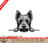 Scottish Terrier Looking Over Wall -  SVG SVG