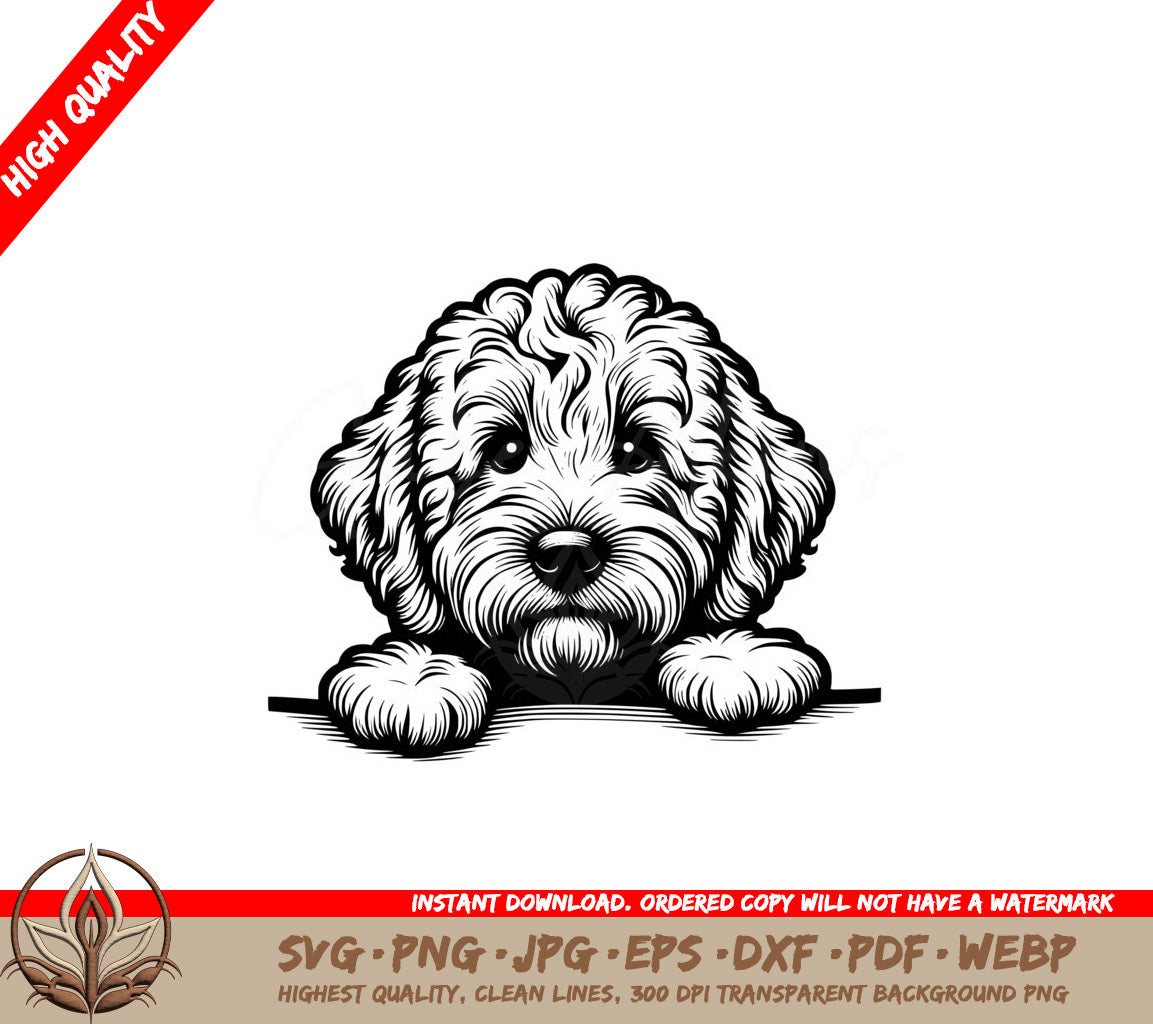 Shaggy Goldendoodle SVG