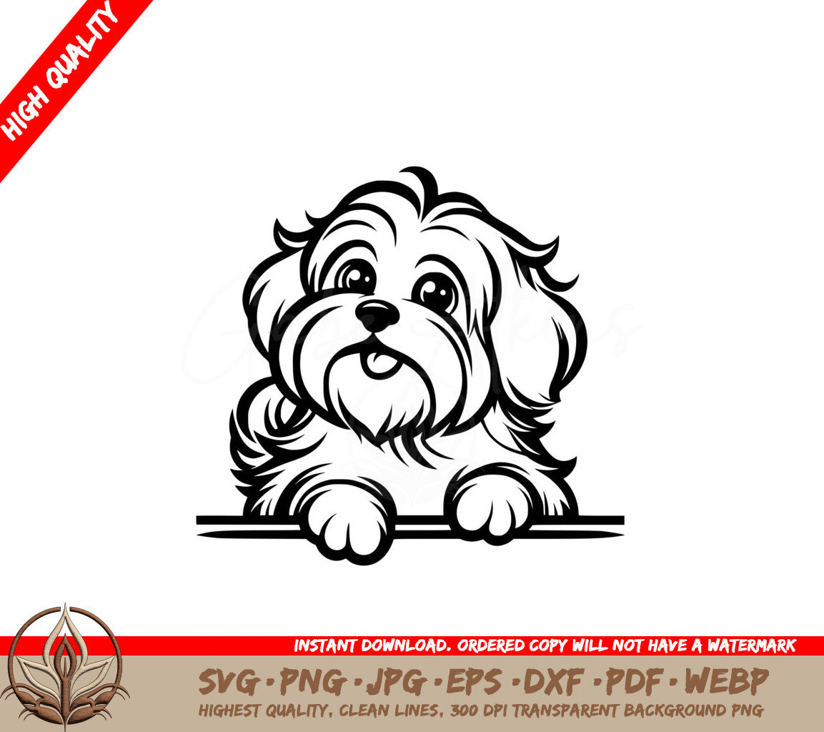 Shaggy Havanese SVG
