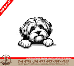 Shaggy Havanese Pup SVG