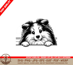 Shetland Sheepdog Peeking SVG PNG JPG AI PDF DXF EPS WebP - Digital Download