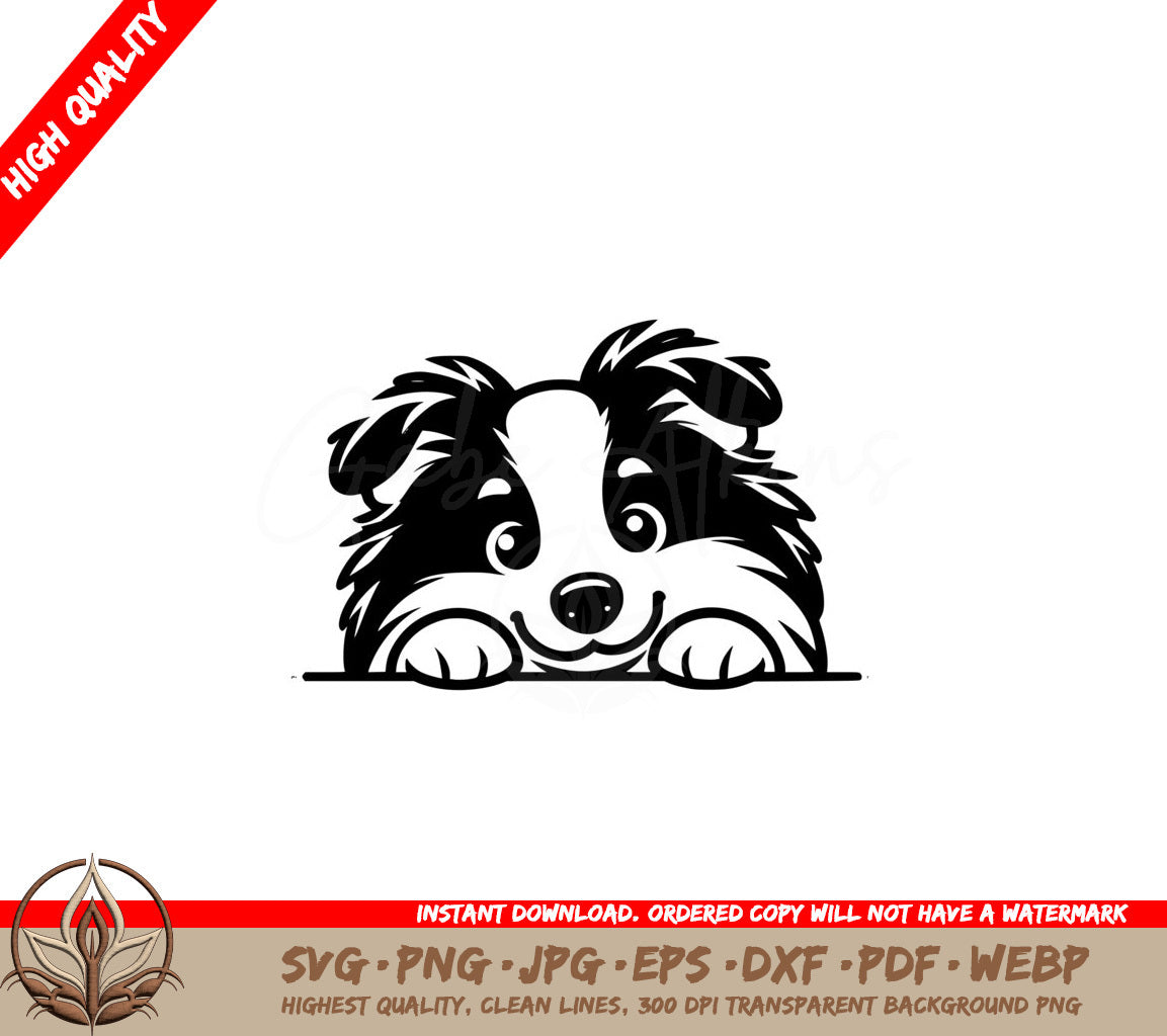 Shetland Sheepdog Pose SVG