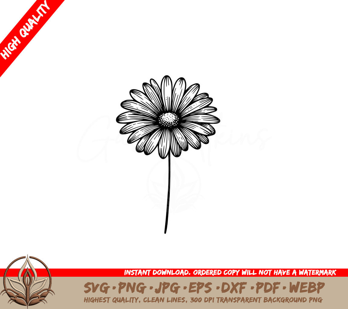 Simple Daisy Bloom SVG PNG JPG AI PDF DXF EPS WebP Digital Download