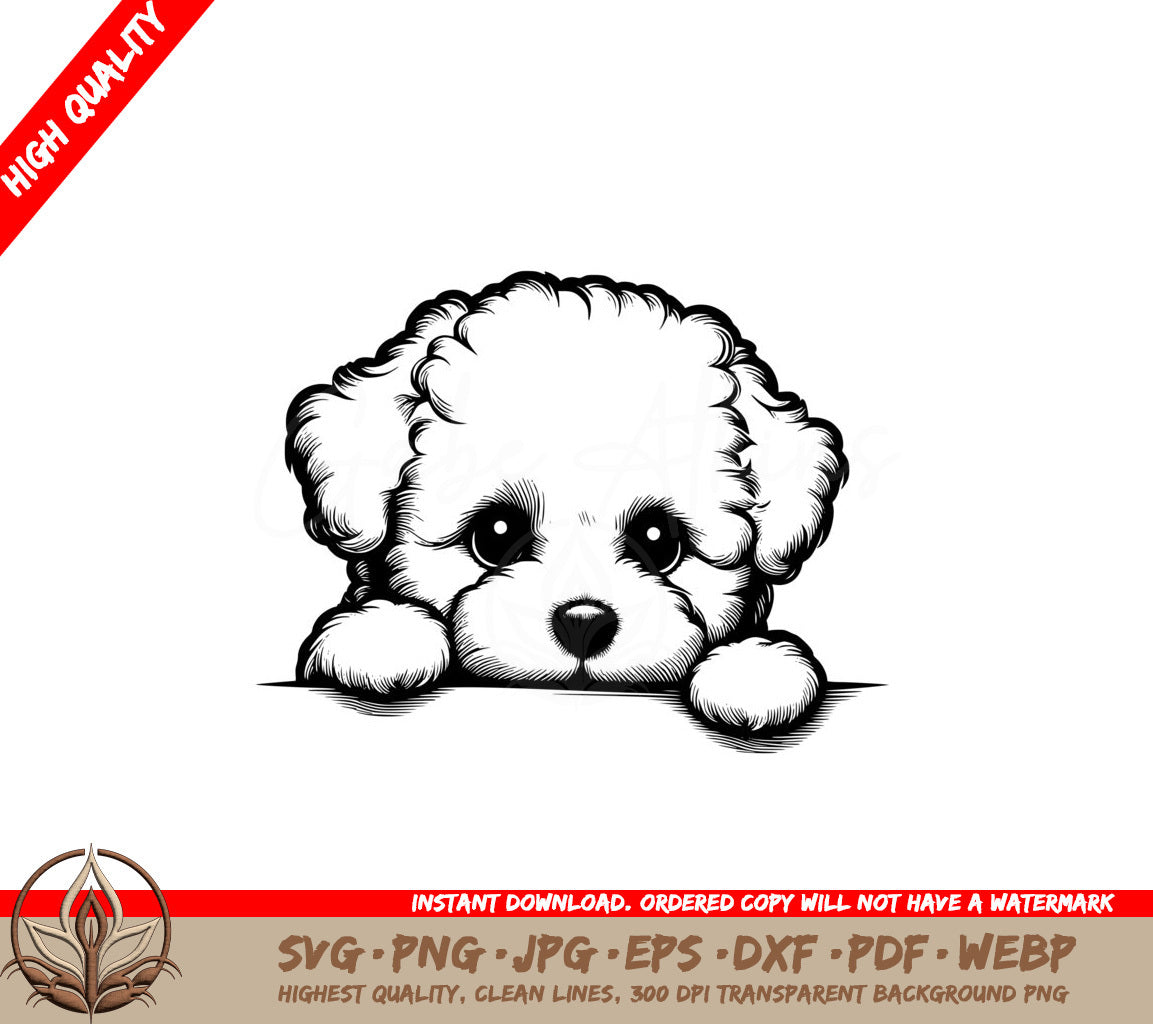 Soft Gaze Bichon SVG