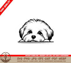 Soft Gaze Coton Digital Design SVG