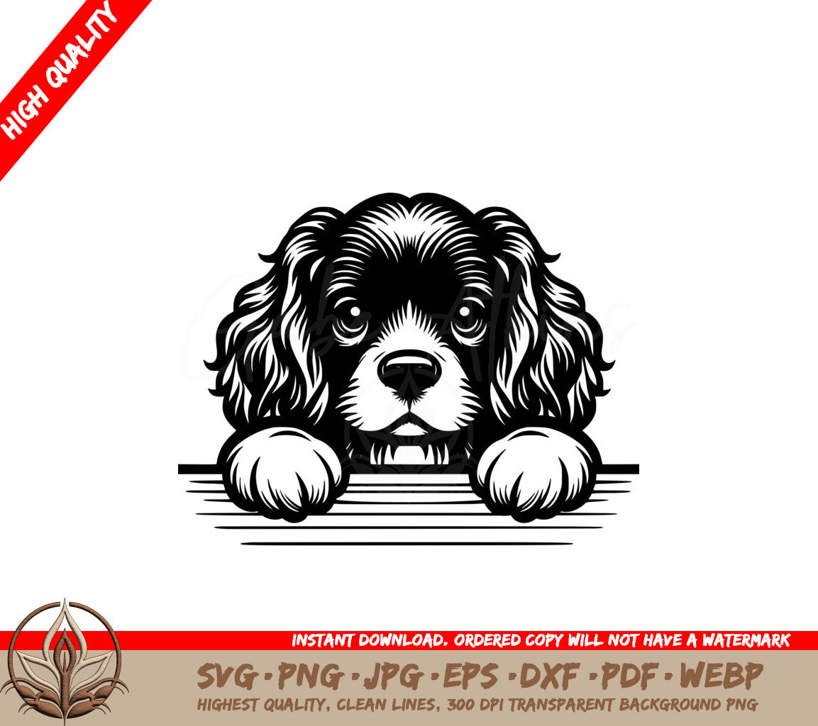 Soft Paws Boykin Spaniel SVG