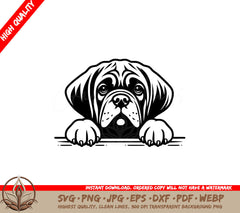 Soulful Mastiff Stare SVG