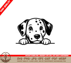 Spotted Dalmatian Gaze SVG
