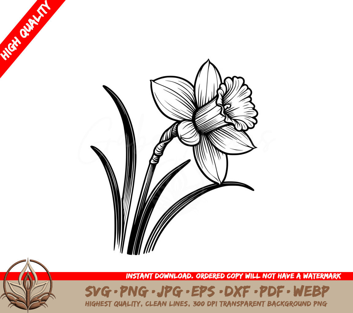 Spring Daffodil Beauty SVG PNG JPG AI PDF DXF EPS and WebP Digital Download
