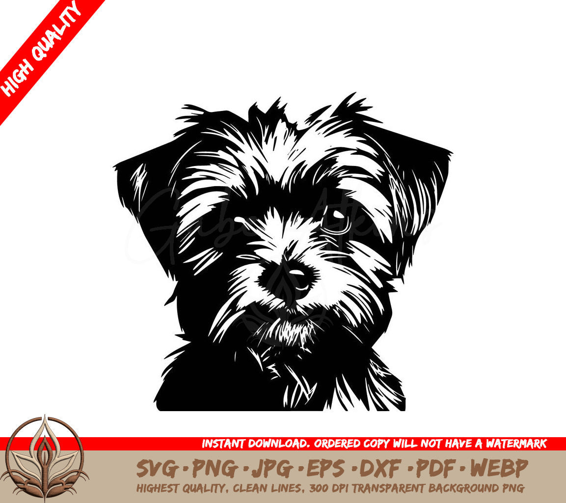 Spunky Morkie Terrier Digital Design in Multiple File Formats