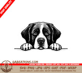 St. Bernard Peeking Over Wall -  Dog SVG SVG