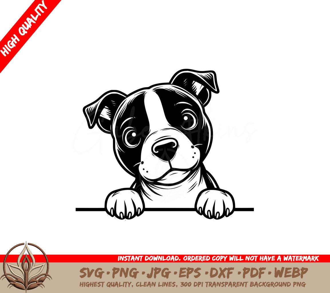 Staffordshire Bull Terrier Peek SVG