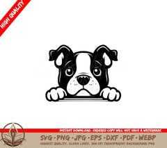 Staffordshire Bull Terrier Peeking SVG