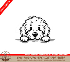 Staring Goldendoodle SVG Cut File