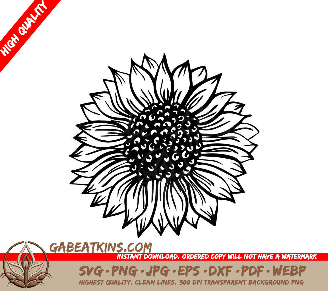 A Sunflower On A White Background SVG - Sunflower SVG SVG